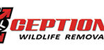 All Things Wild Removal logo