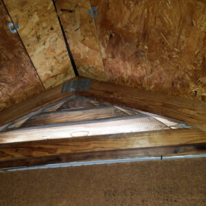 bat-removal Home Bat Exclusion
