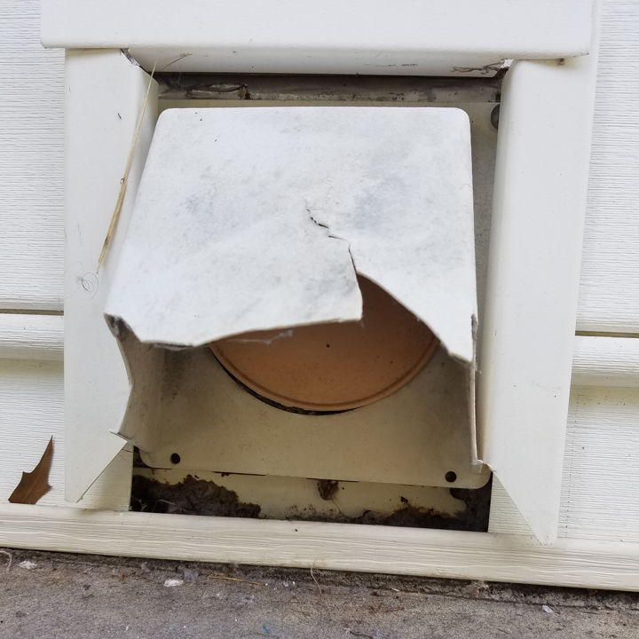 birds-in-vents Removal of Birds In Vents