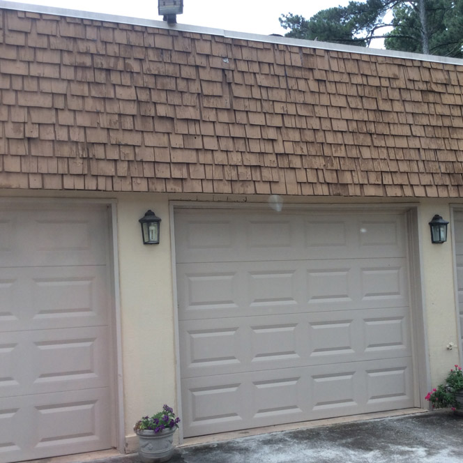 commercial-wildlife-damage Commercial Wild Animal Damage Repair