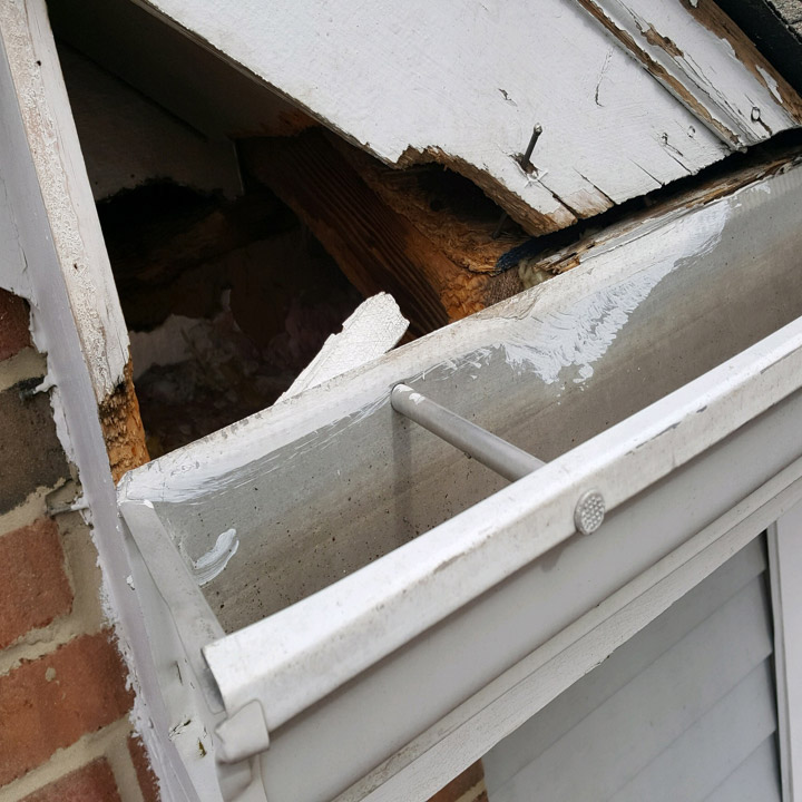 raccoon-damage-repair Raccoon Damage Repairs