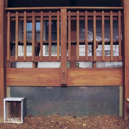 skunk-under-deck Skunks Under Deck, Patio, Home Porch