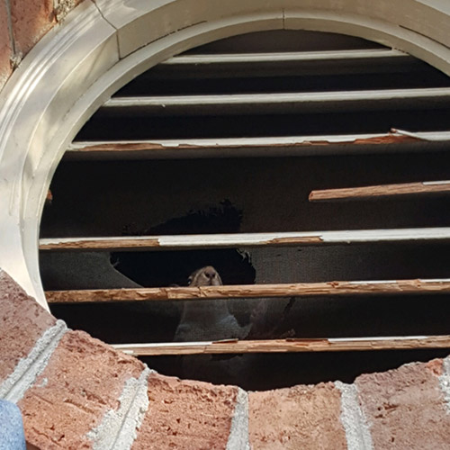 Attic Restoration and Cleanout