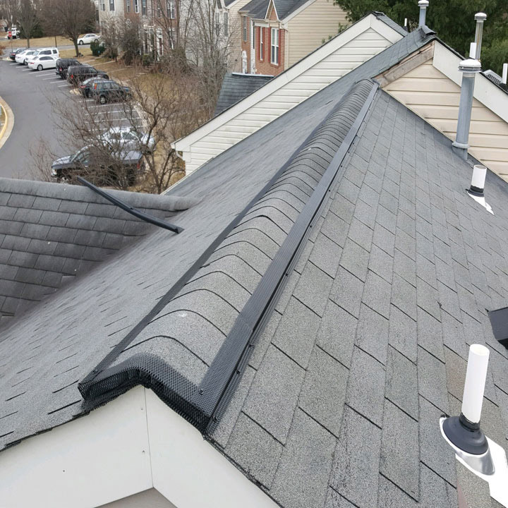 wildlife-damage-repair Repair Wildlife Damages